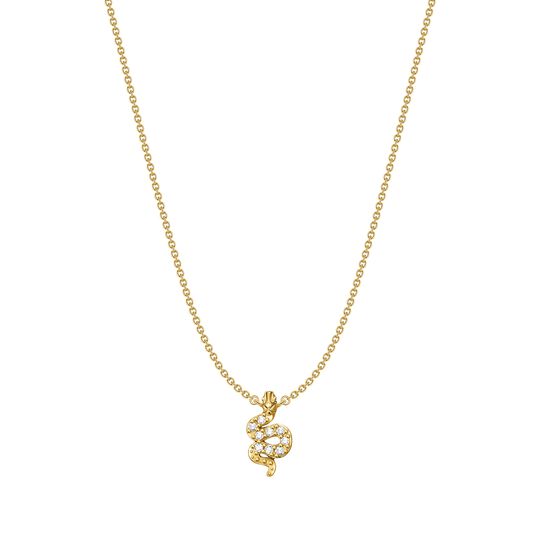 Petit Necklace Snake from the  collection in the SABOTEUR online store